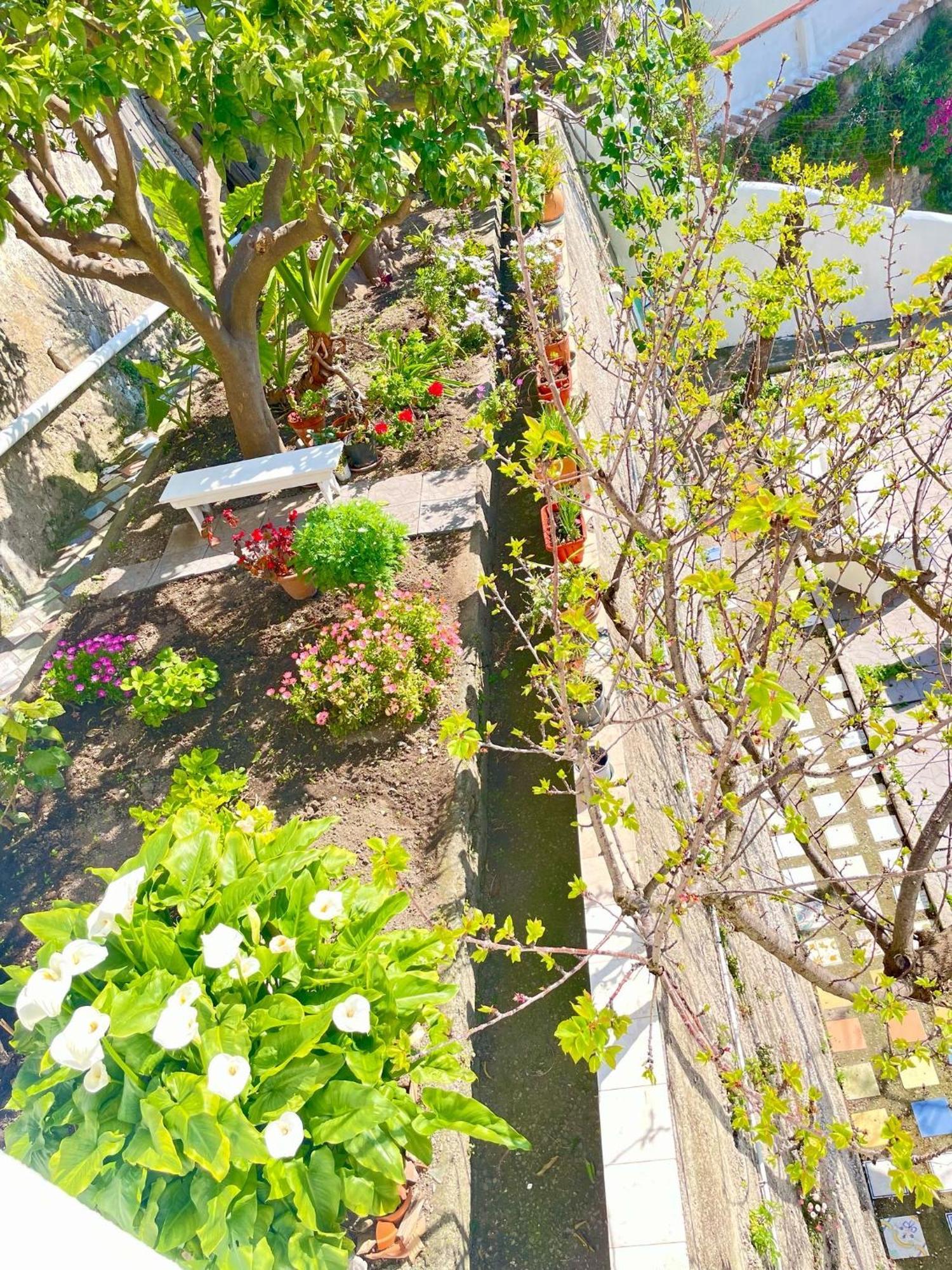 Borgo Virginia - Sea View In Amalfi Coast Appartement Vietri Buitenkant foto